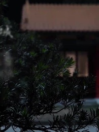 一劍聽寒望川歸 - Episode 41