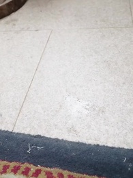 玲瓏怒火踏山河 - Episode 5