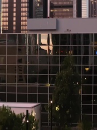 Episodio 59 - Caccia al Papà Single