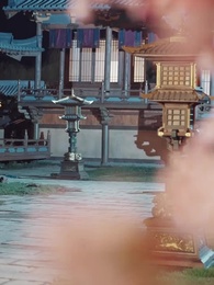 ตอนที่ 35 - สิบปีแห่งฝัน จะได้พบเจ้าอีกหรือไม่