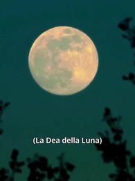 Episodio 70 - Custodito Dal Mio Fratello Alfa