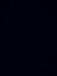 Episódio 1 - Caçando um Pai Solteiro