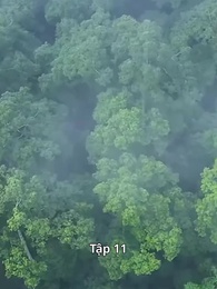 Tập 11 - [Lồng tiếng]Ma Tôn Tối Cao