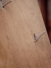 เมียหลวงข้ามภพกับสี่จอมแก่น - Episode 36