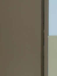 第49集 - 疏雨梧桐淺月朦朧