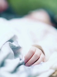 隠された鳳凰 - Episode 74