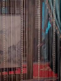 ตอนที่ 49 - เมียหลวงข้ามภพกับสี่จอมแก่น