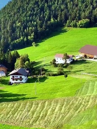 Custodito Dal Mio Fratello Alfa - Episode 48