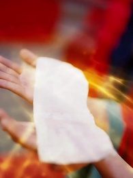 第30話 - 隠された鳳凰