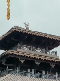 隠された鳳凰 - Episode 14