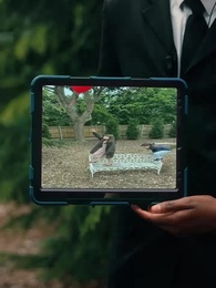 Episode 43 - Too Late to Regret, Ex-Hubby