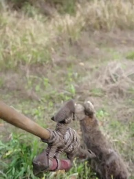 最是無情蠻荒愛 - Episode 13