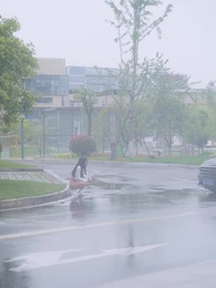 第13集 - 侯總請開球