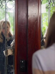 Episode 24 - Die Leihmutter des Milliardärs