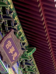 Episodio 62 - La Elegida