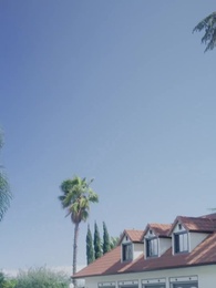 Die Leihmutter des Milliardärs - Episode 12