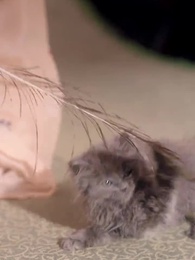 相思月明人倚樓 - Episode 30