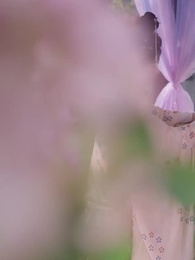 第34集 - 相思月明人倚樓