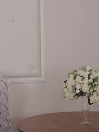 Episodio 11 - Guida per l'Addomesticamento del lupo Alfa