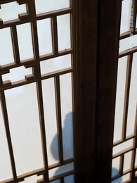 涅槃成鳳 - Episode 56