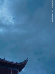 第16話 - 風に乗れば龍となる