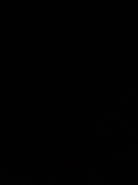 Episodio 44 - Amor con la Mafia Equivocada