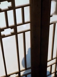 再生の鳳凰 - Episode 56