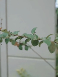 Épisode 22 - Retour sucré, revanche salée