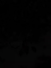 Episodio 52 - Amor con la Mafia Equivocada