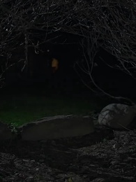 Episódio 49 - Unida ao Rei Alfa