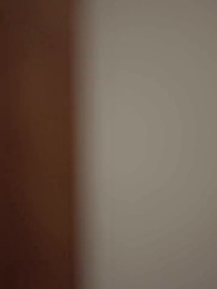 第1集 - 貪向膽邊生