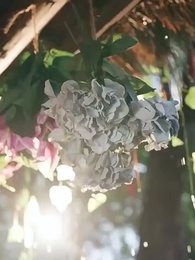 12화 - 그녀의 선행