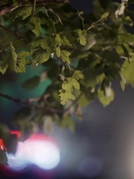 求你別煩我 - Episode 58