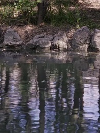 第50集 - 求你別煩我