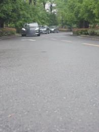 第45集 - 爺孫萌寶