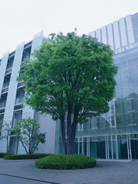 第22話 - まさか！ガードマンのパパは世界一の金持ちだった