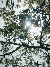 2화 - 여신 아내는 내게 집착중