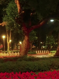 Escape to Italy with My Undercover Lover - Episode 43