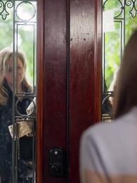 Épisode 24 - Mme Mère Porteuse du Milliardaire