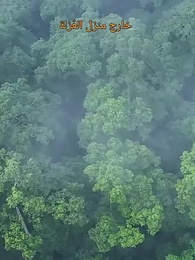 سيد الشياطين[مدبلج] - Episode 11