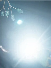 第71集 - 我的孩子來自星星