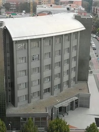 Die pikante Ehe des heimlichen Milliardärs - Episode 64