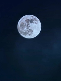 27화 - 어목혼주