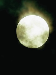 Episodio 14 - Tres Rechazos y un Destino