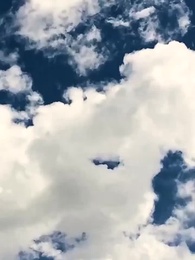 第49話 - 拒絶したはずの妻を、今、追いかけて