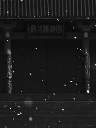 第1話 - [吹替]アヤメの約束