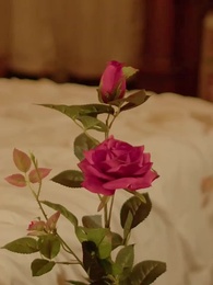 Tres Rechazos y un Destino - Episode 77