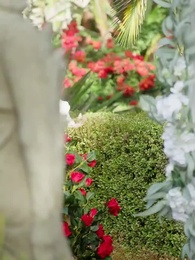 Episódio 25 - Grávida do Alfa após uma Noite de Paixão