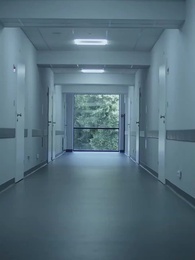 Épisode 41 - Réveillée Après 30 Ans, Mes Frères S'Inclinent