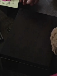 Réveillée Après 30 Ans, Mes Frères S'Inclinent - Episode 19